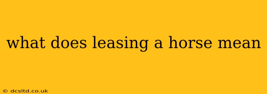 what does leasing a horse mean