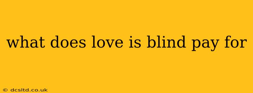 what does love is blind pay for