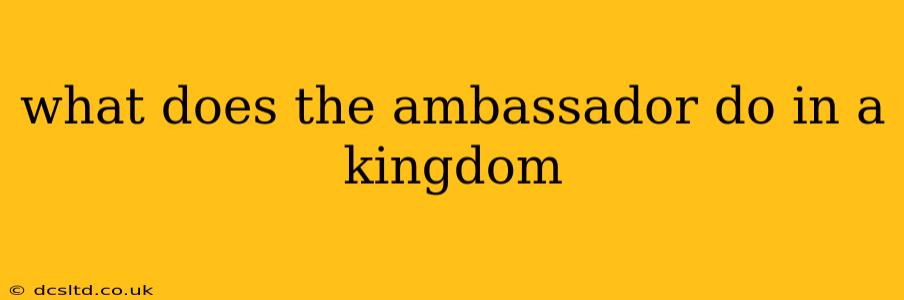 what does the ambassador do in a kingdom