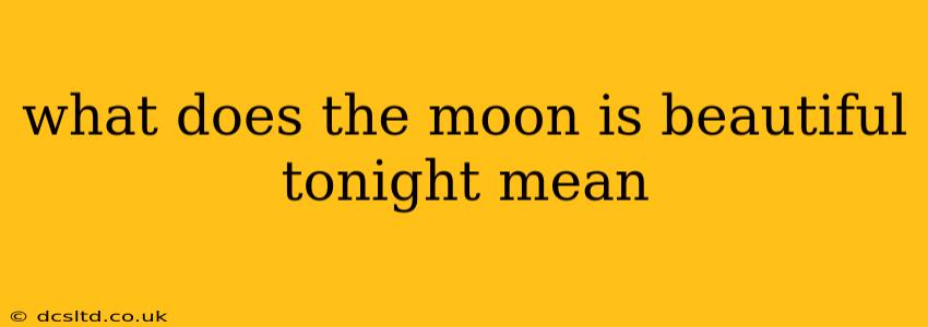 what does the moon is beautiful tonight mean