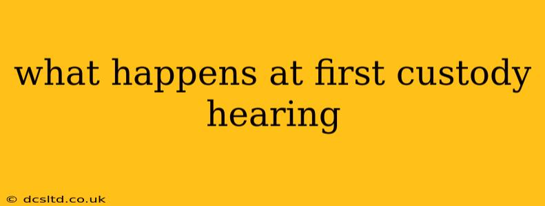 what happens at first custody hearing