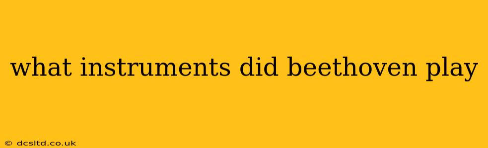 what instruments did beethoven play