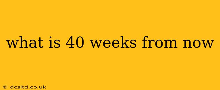 what is 40 weeks from now