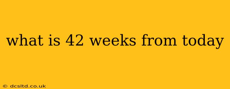 what is 42 weeks from today