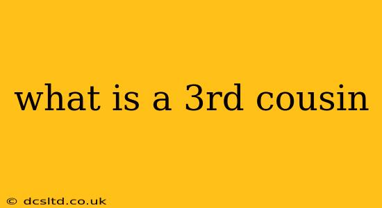 what is a 3rd cousin