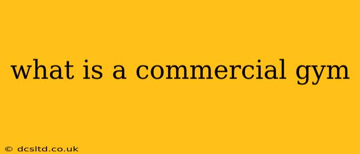 what is a commercial gym