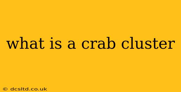 what is a crab cluster
