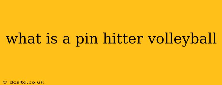 what is a pin hitter volleyball