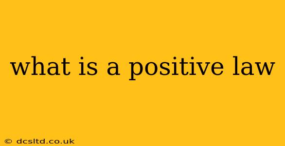 what is a positive law