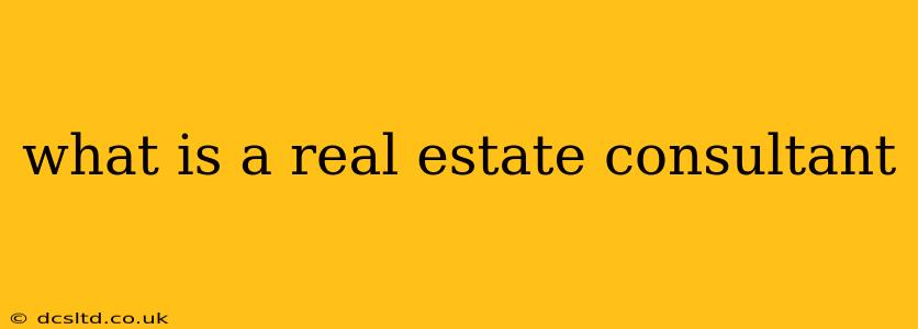 what is a real estate consultant