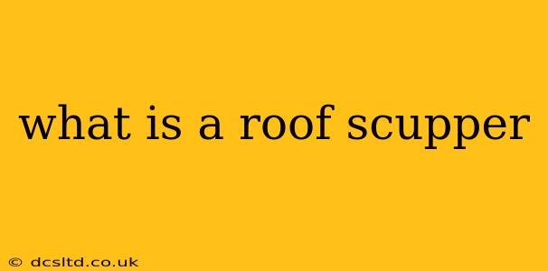 what is a roof scupper