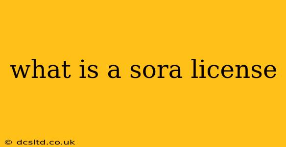 what is a sora license