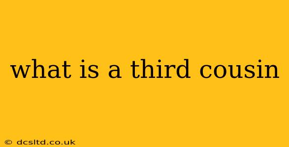 what is a third cousin