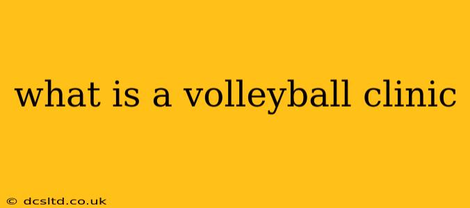 what is a volleyball clinic