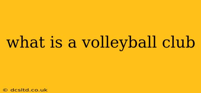 what is a volleyball club