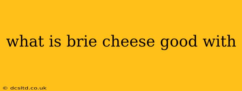 what is brie cheese good with