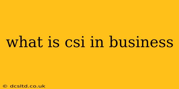 what is csi in business