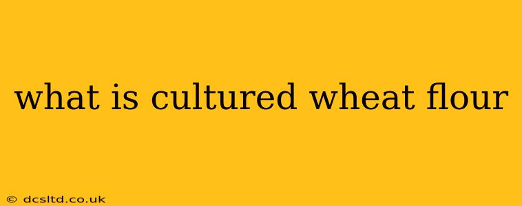 what is cultured wheat flour