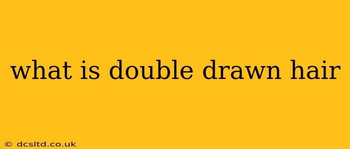 what is double drawn hair