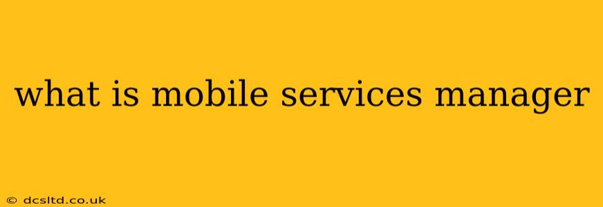what is mobile services manager