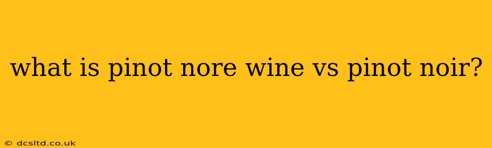 what is pinot nore wine vs pinot noir?