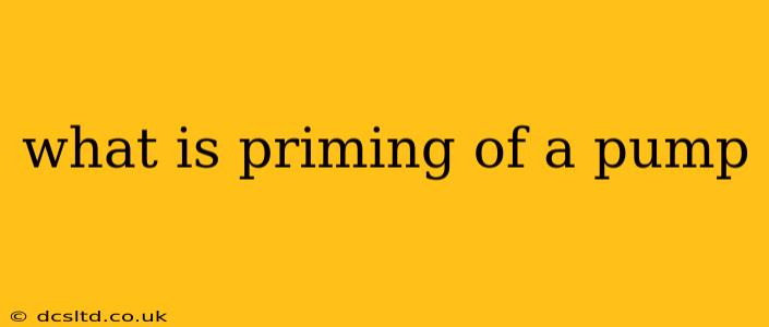 what is priming of a pump