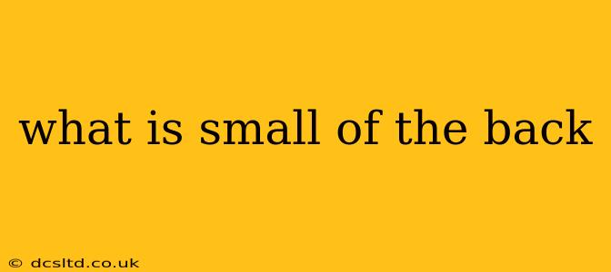 what is small of the back