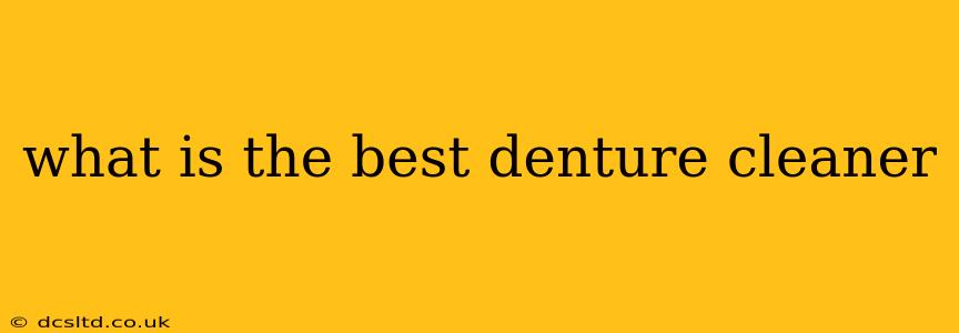 what is the best denture cleaner