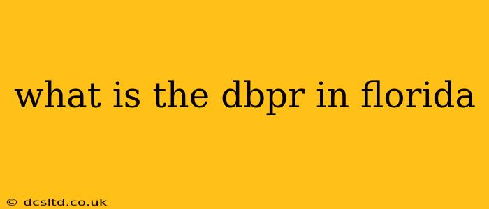 what is the dbpr in florida