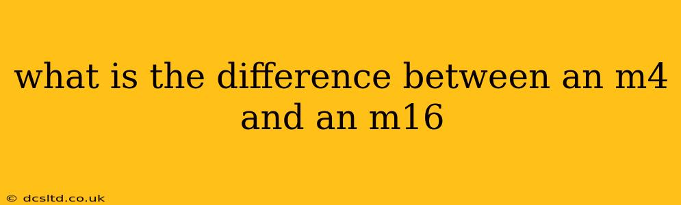 what is the difference between an m4 and an m16