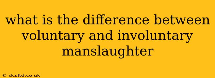 what is the difference between voluntary and involuntary manslaughter
