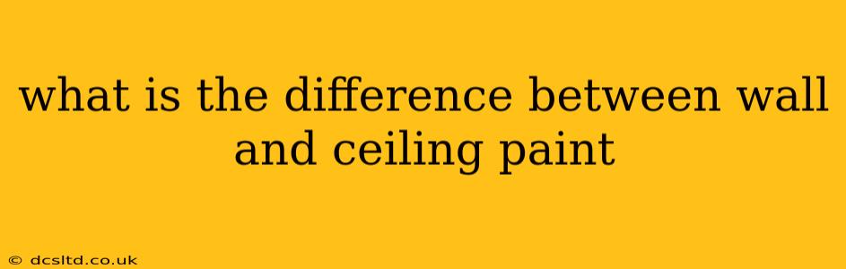what is the difference between wall and ceiling paint
