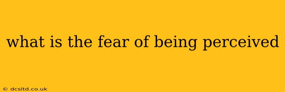 what is the fear of being perceived
