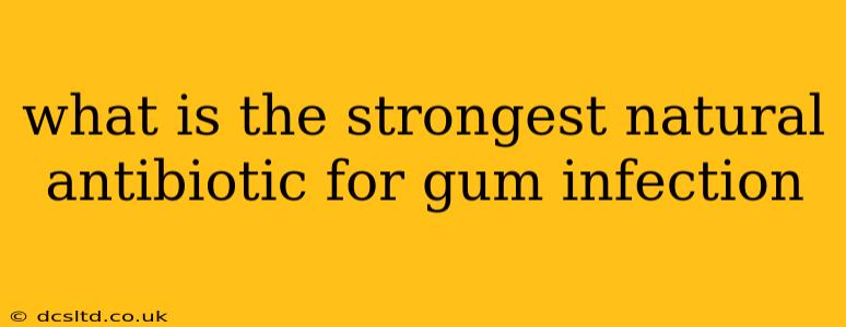 what is the strongest natural antibiotic for gum infection