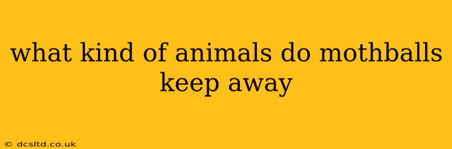 what kind of animals do mothballs keep away