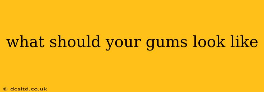 what should your gums look like