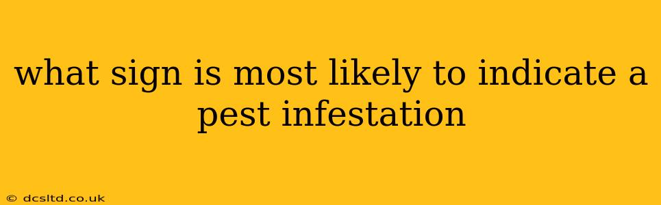 what sign is most likely to indicate a pest infestation