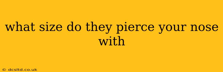 what size do they pierce your nose with