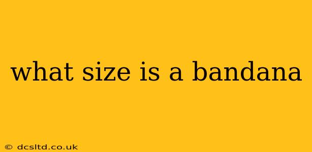 what size is a bandana