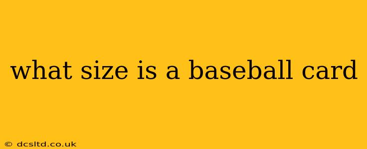 what size is a baseball card