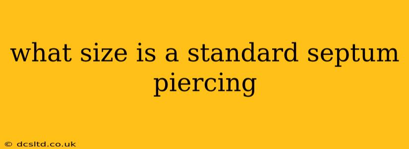 what size is a standard septum piercing