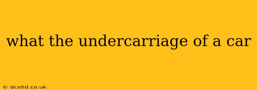 what the undercarriage of a car