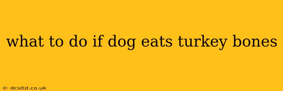 what to do if dog eats turkey bones