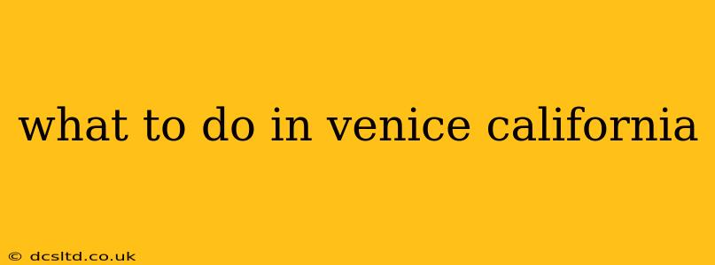 what to do in venice california