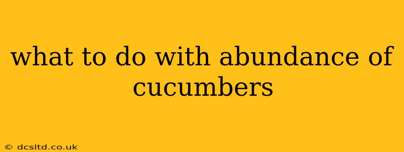 what to do with abundance of cucumbers