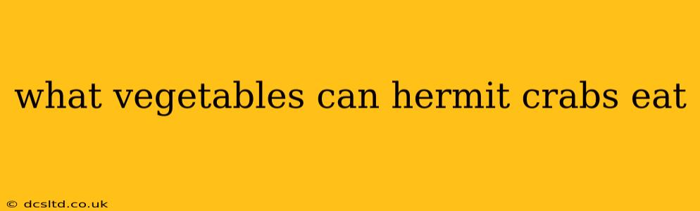 what vegetables can hermit crabs eat