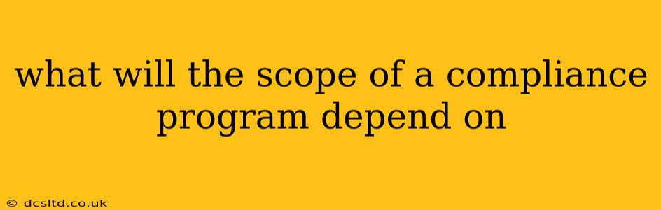 what will the scope of a compliance program depend on