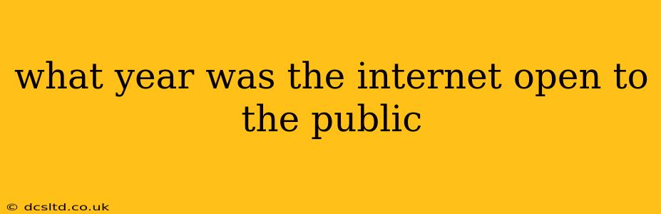 what year was the internet open to the public