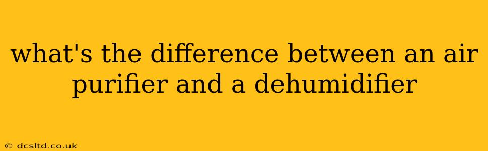 what's the difference between an air purifier and a dehumidifier