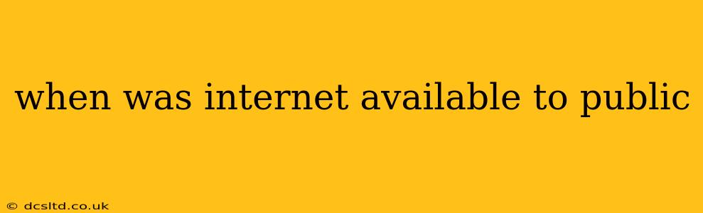 when was internet available to public